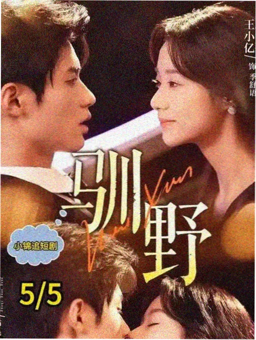 雾线以北道具考据